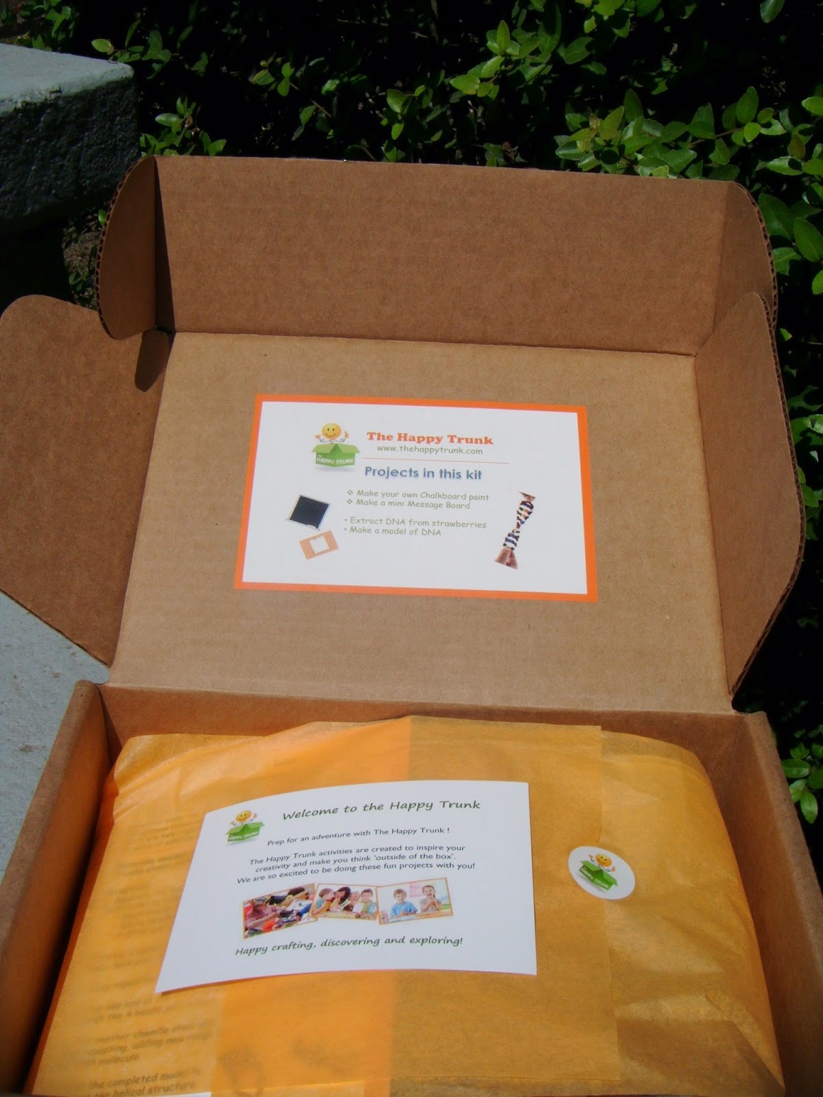 The ABCD Diaries The Happy Trunk Science and Craft Subscription Box 